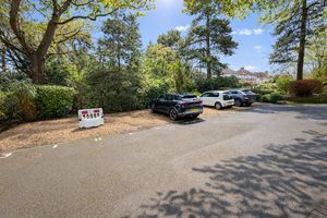 Photo 11- click for photo gallery